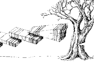 Schematic of dendrochronological dating